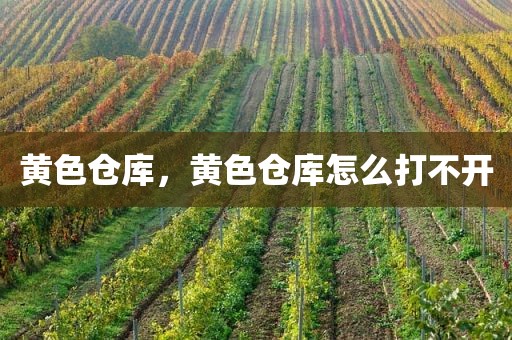 黄色仓库，黄色仓库怎么打不开