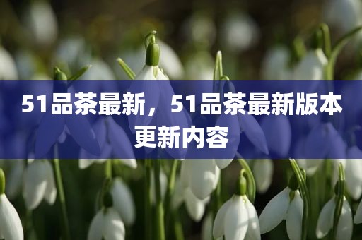 51品茶最新，51品茶最新版本更新内容