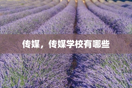 传媒，传媒学校有哪些