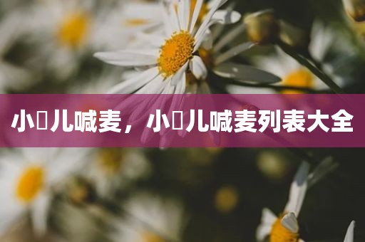 小苮儿喊麦，小苮儿喊麦列表大全