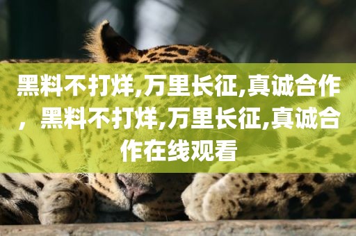 黑料不打烊,万里长征,真诚合作，黑料不打烊,万里长征,真诚合作在线观看