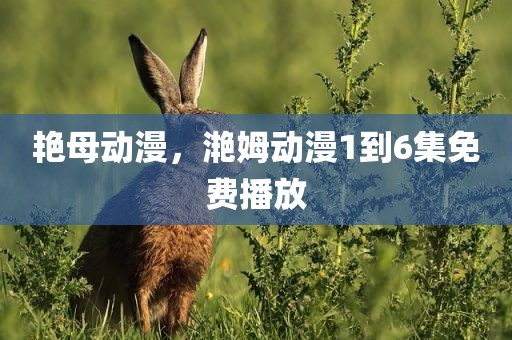 艳母动漫，滟姆动漫1到6集免费播放