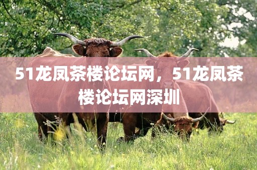 51龙凤茶楼论坛网，51龙凤茶楼论坛网深圳