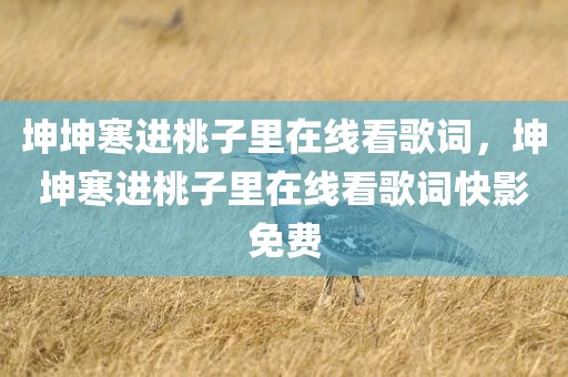 坤坤寒进桃子里在线看歌词，坤坤寒进桃子里在线看歌词快影免费