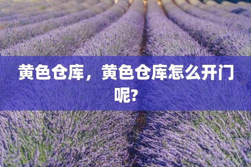 黄色仓库，黄色仓库怎么开门呢?