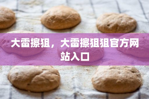 大雷擦狙，大雷擦狙狙官方网站入口