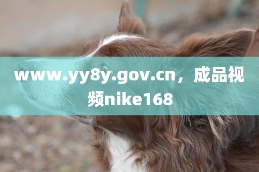 www.yy8y.gov.cn，成品视频nike168