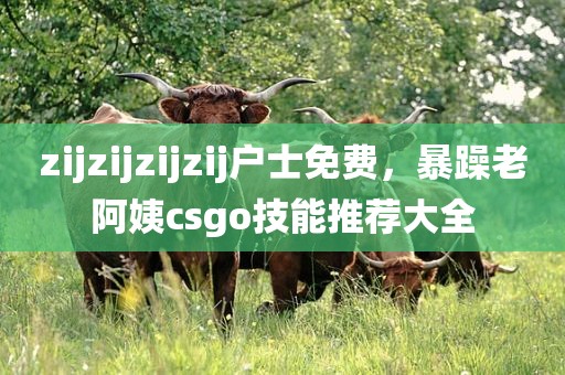 zijzijzijzij户士免费，暴躁老阿姨csgo技能推荐大全