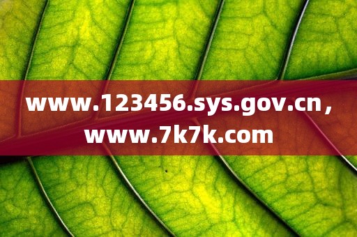 www.123456.sys.gov.cn，www.7k7k.com