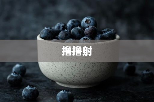撸撸射