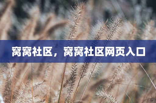 窝窝社区，窝窝社区网页入口