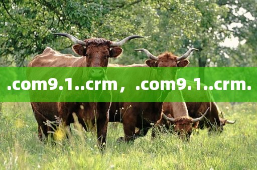 .com9.1..crm，.com9.1..crm.