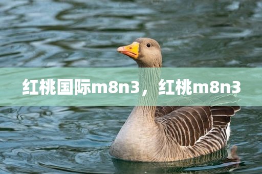 红桃国际m8n3，红桃m8n3