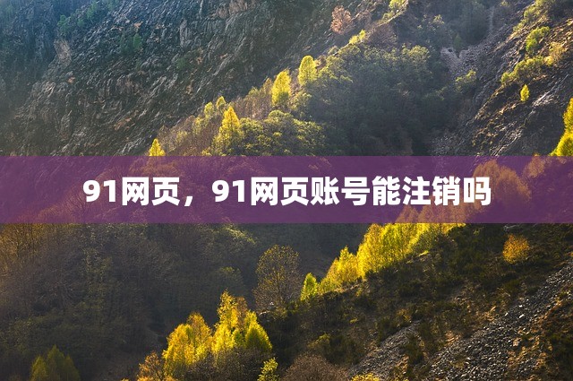 91网页，91网页账号能注销吗