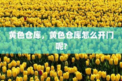 黄色仓库，黄色仓库怎么开门呢?