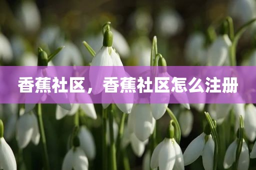 香蕉社区，香蕉社区怎么注册