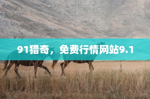 91猎奇，免费行情网站9.1
