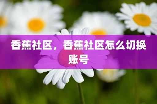 香蕉社区，香蕉社区怎么切换账号