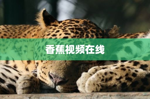 香蕉视频在线