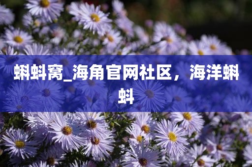 蝌蚪窝_海角官网社区，海洋蝌蚪