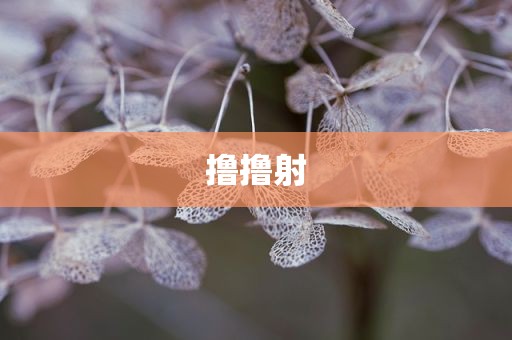 撸撸射