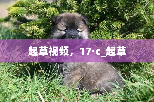 起草视频，17·c_起草