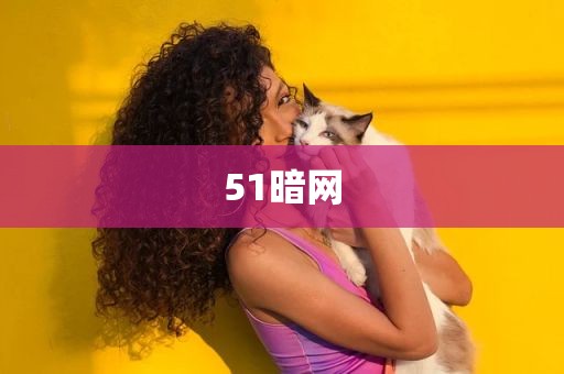 51暗网