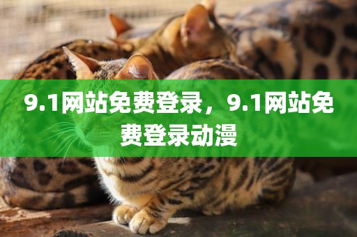 9.1网站免费登录，9.1网站免费登录动漫