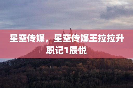 星空传媒，星空传媒王拉拉升职记1辰悦
