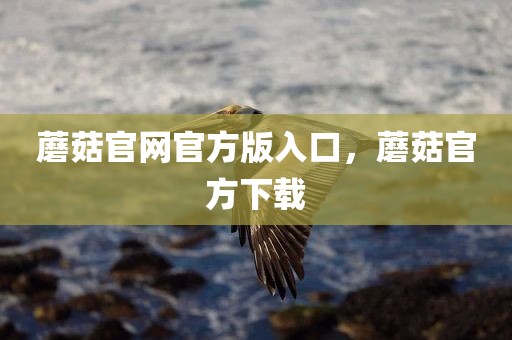 蘑菇官网官方版入口，蘑菇官方下载