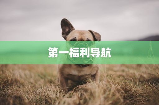 第一福利导航