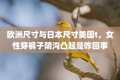 欧洲尺寸与日本尺寸美国t，女性穿裤子阴沟凸起是咋回事