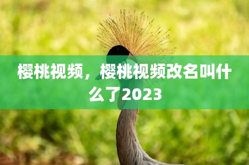 樱桃视频，樱桃视频改名叫什么了2023