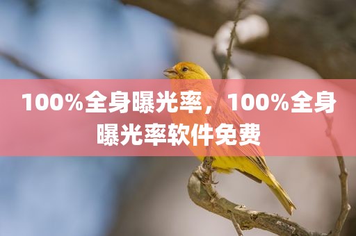 100%全身曝光率，100%全身曝光率软件免费