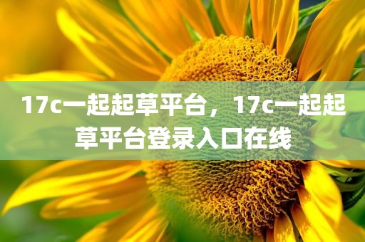 17c一起起草平台，17c一起起草平台登录入口在线