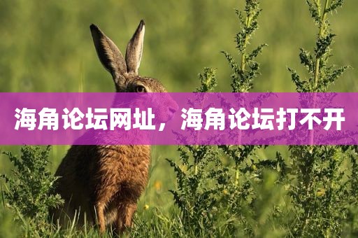 海角论坛网址，海角论坛打不开