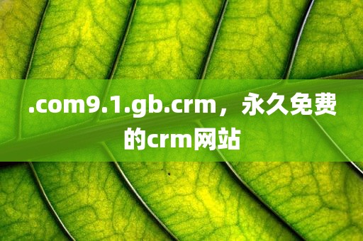 .com9.1.gb.crm，永久免费的crm网站