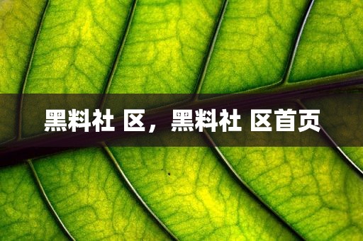 黑料社 区，黑料社 区首页