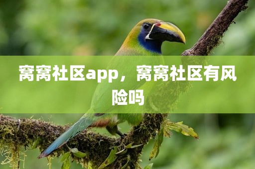 窝窝社区app，窝窝社区有风险吗
