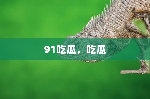 91吃瓜，吃瓜