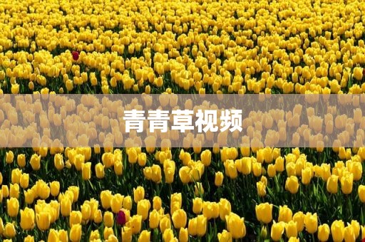 青青草视频