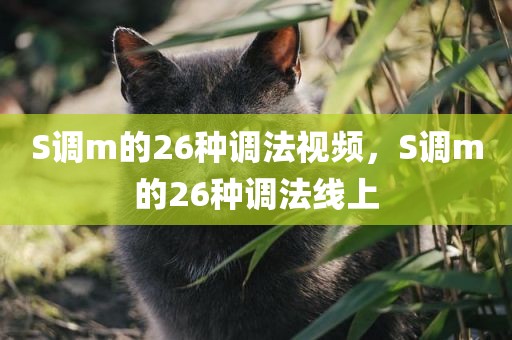 S调m的26种调法视频，S调m的26种调法线上