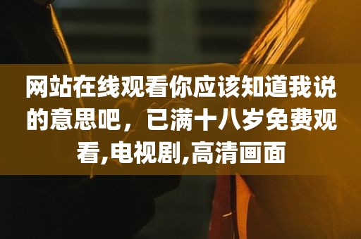 网站在线观看你应该知道我说的意思吧，已满十八岁免费观看,电视剧,高清画面