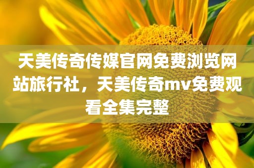 天美传奇传媒官网免费浏览网站旅行社，天美传奇mv免费观看全集完整