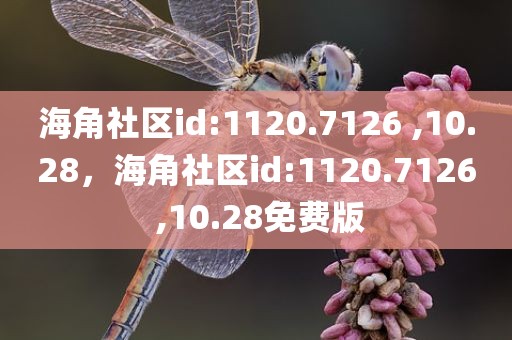 海角社区id:1120.7126 ,10.28，海角社区id:1120.7126 ,10.28免费版