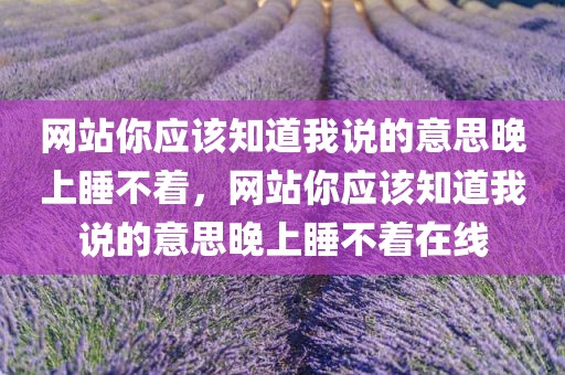 网站你应该知道我说的意思晚上睡不着，网站你应该知道我说的意思晚上睡不着在线