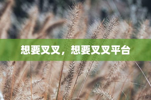 想要叉叉，想要叉叉平台