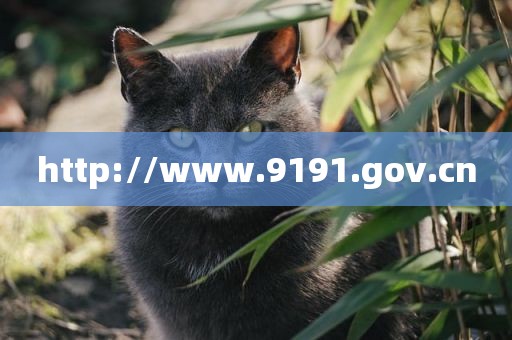 http://www.9191.gov.cn