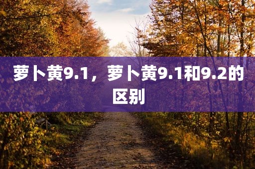 萝卜黄9.1，萝卜黄9.1和9.2的区别