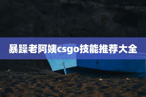 暴躁老阿姨csgo技能推荐大全
